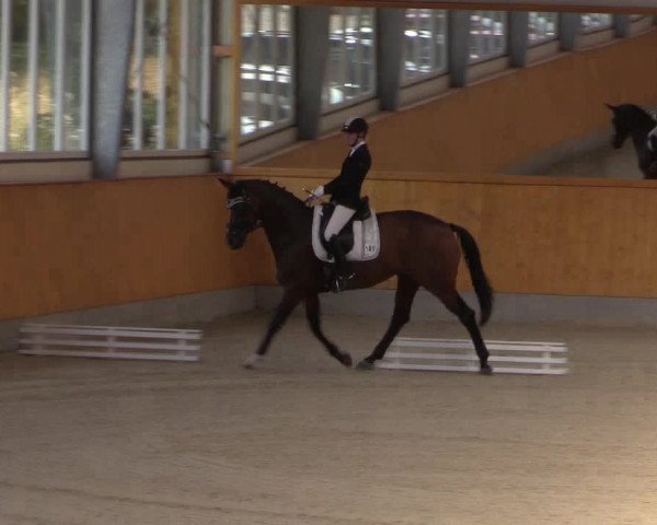 Reitturnier Münster-Amelsbüren 2022