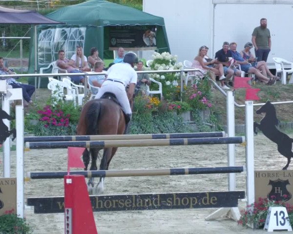 Reitturnier Oberderdingen 2022