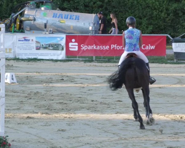 Reitturnier Oberderdingen 2022