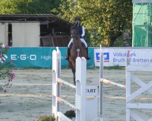 Reitturnier Oberderdingen 2022