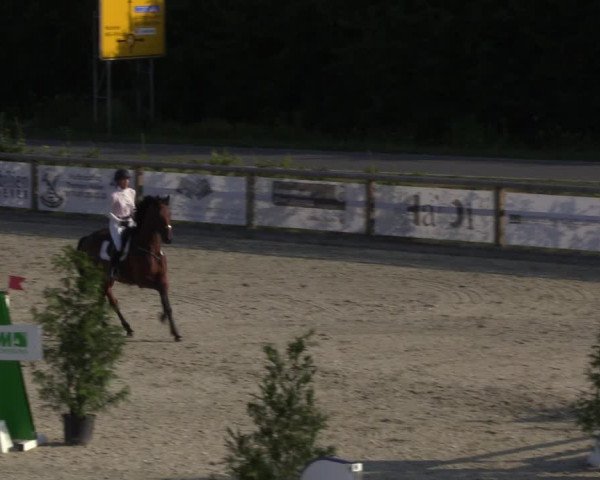 Reitturnier Münster-Amelsbüren 2022