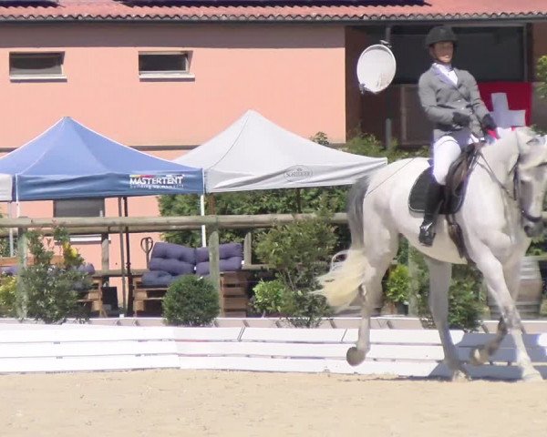 Reitturnier Dompierre 2022