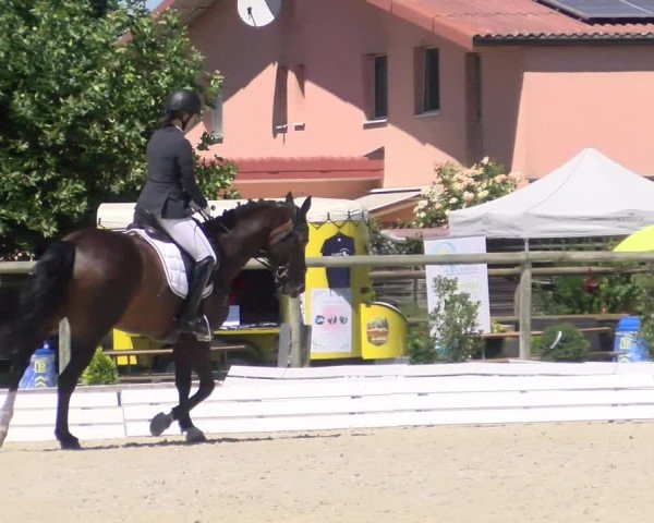 Reitturnier Dompierre 2022