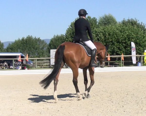 Reitturnier Dompierre 2022