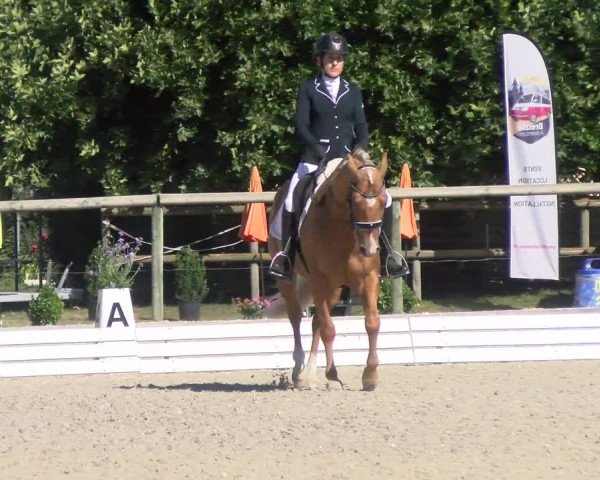 Reitturnier Dompierre 2022
