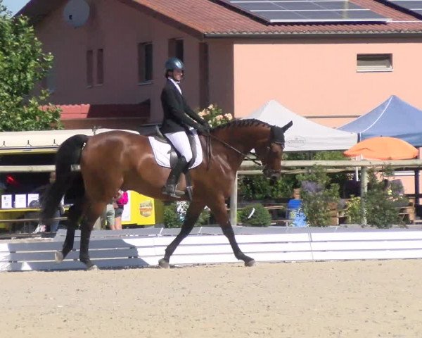 Reitturnier Dompierre 2022