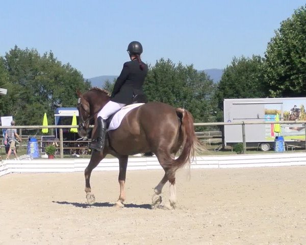Reitturnier Dompierre 2022