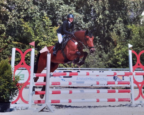 jumper Laertes 26 (Rhinelander, 2014, from Lorgos GL)