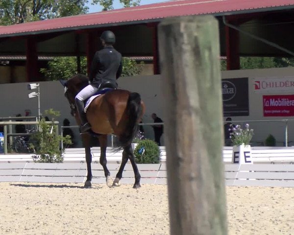 Reitturnier Dompierre 2022