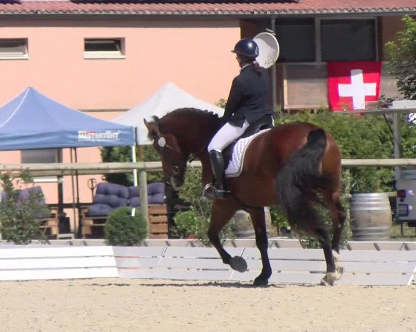 Reitturnier Dompierre 2022
