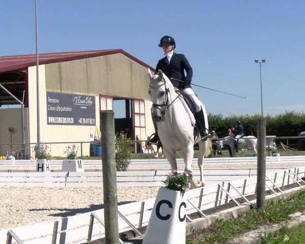 Reitturnier Dompierre 2022