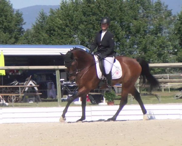 Reitturnier Dompierre 2022