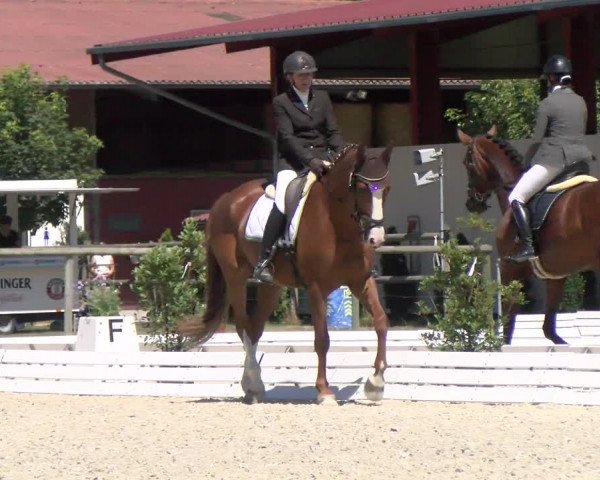 Reitturnier Dompierre 2022