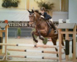 Pferd Euro Casa Blanca (Hannoveraner, 1995, von Cordoba)