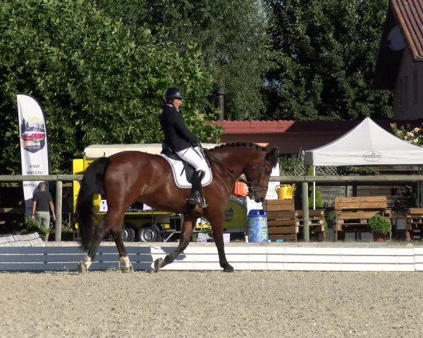 Reitturnier Dompierre 2022