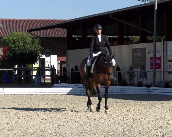 Reitturnier Dompierre 2022