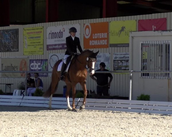 Reitturnier Dompierre 2022