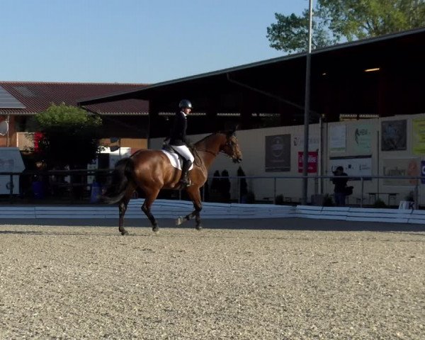 Reitturnier Dompierre 2022