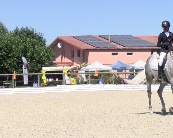 Reitturnier Dompierre 2022