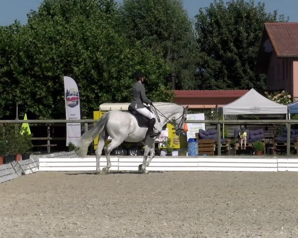 Reitturnier Dompierre 2022