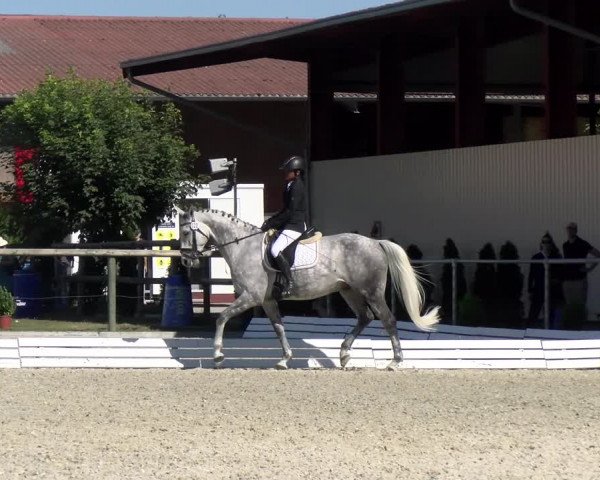 Reitturnier Dompierre 2022