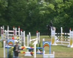 jumper Corino 18 (Holsteiner, 2001, from Contendro I)