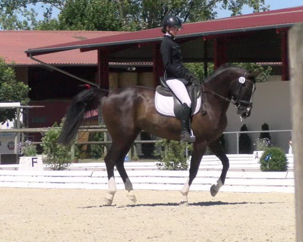 Reitturnier Dompierre 2022