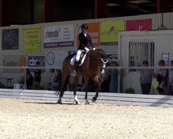 Reitturnier Dompierre 2022