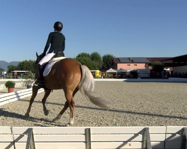 Reitturnier Dompierre 2022