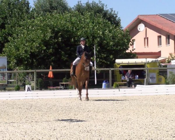Reitturnier Dompierre 2022