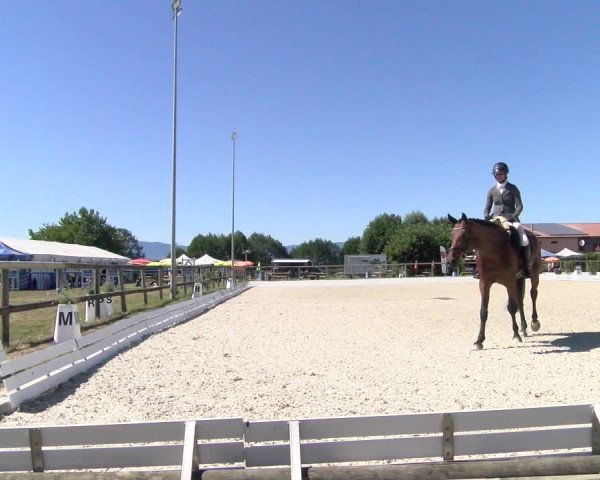 Reitturnier Dompierre 2022