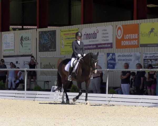 Reitturnier Dompierre 2022