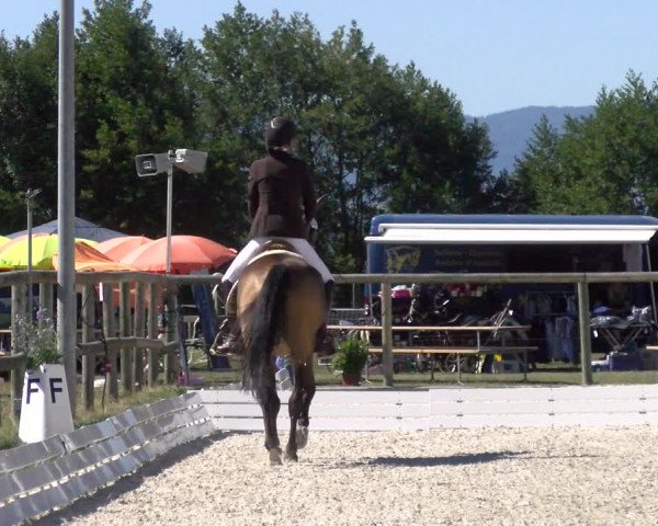 Reitturnier Dompierre 2022