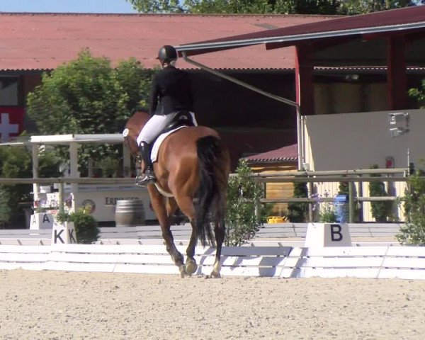 Reitturnier Dompierre 2022