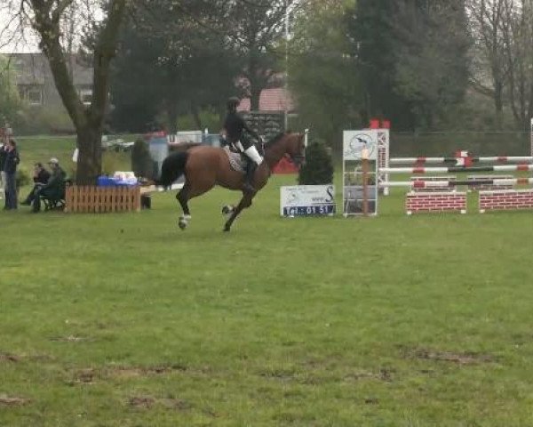 broodmare la Luna MR (Rhinelander, 1999, from Lancer II)
