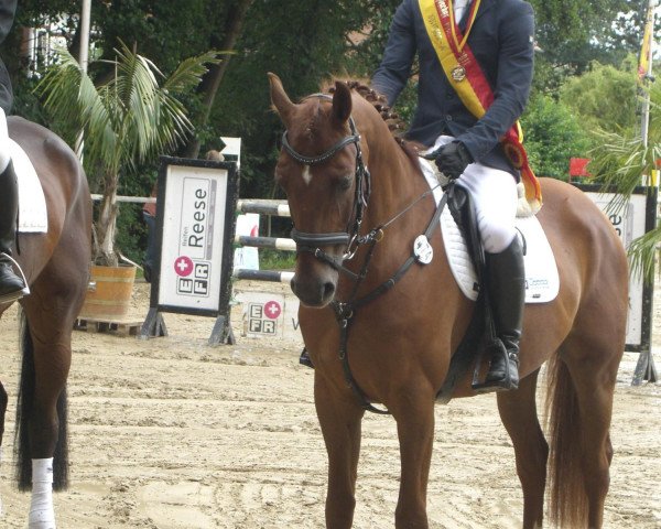 jumper Samiro 22 (Oldenburg, 2004, from Sion)