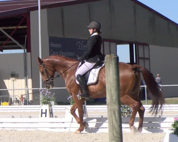 Reitturnier Dompierre 2022