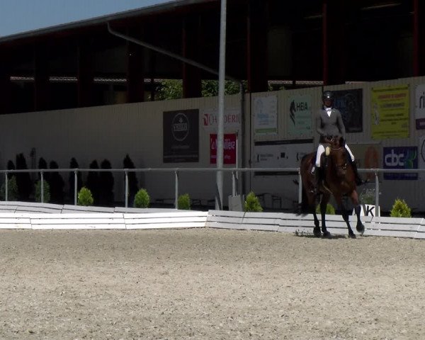 Reitturnier Dompierre 2022