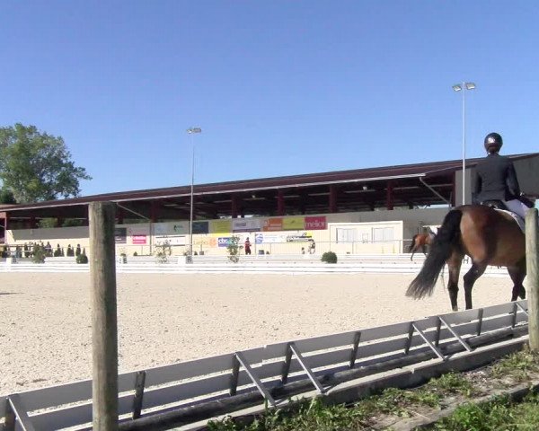 Reitturnier Dompierre 2022
