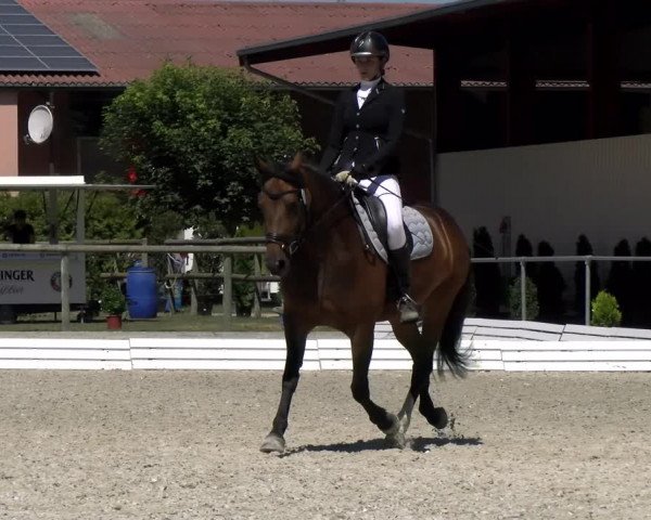 Reitturnier Dompierre 2022