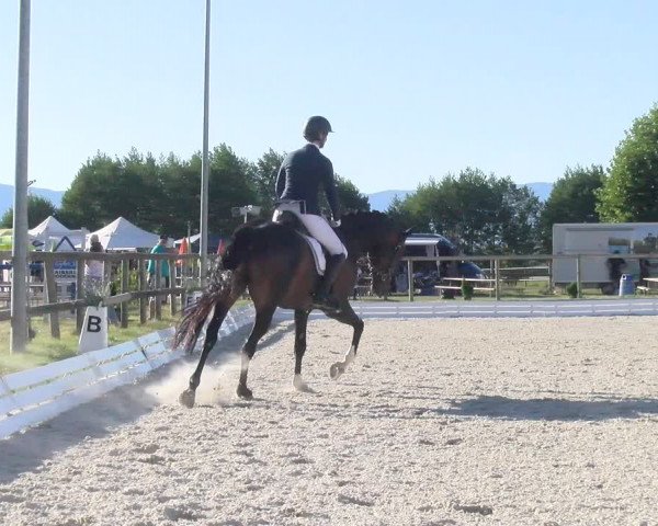 Reitturnier Dompierre 2022