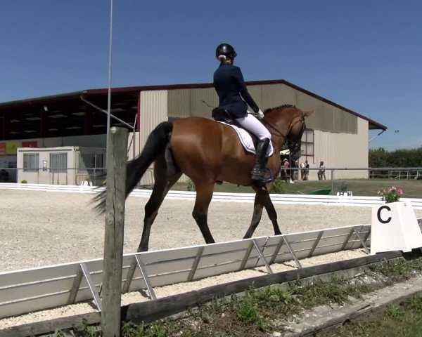 Reitturnier Dompierre 2022