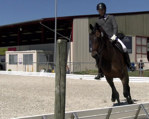 Reitturnier Dompierre 2022