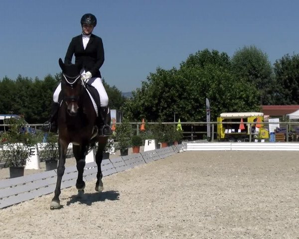 Reitturnier Dompierre 2022