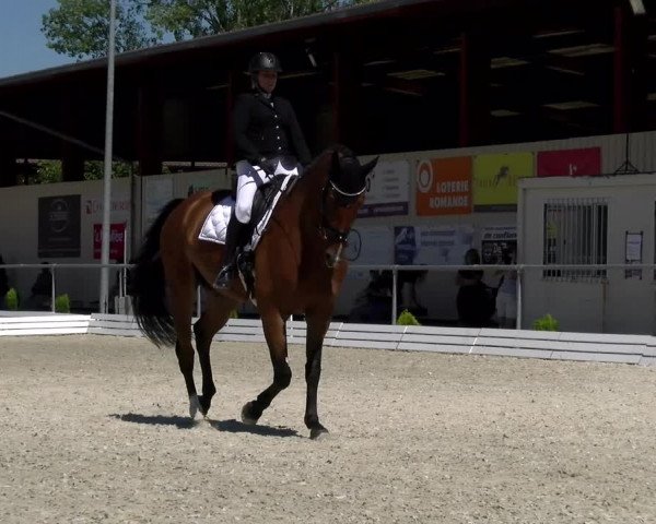 Reitturnier Dompierre 2022