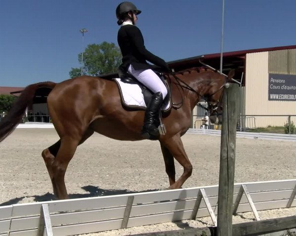 Reitturnier Dompierre 2022