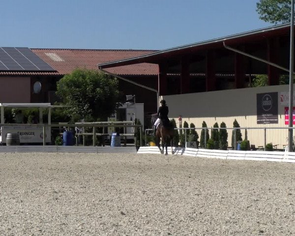 Reitturnier Dompierre 2022