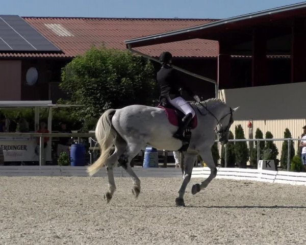 Reitturnier Dompierre 2022