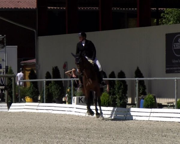 Reitturnier Dompierre 2022