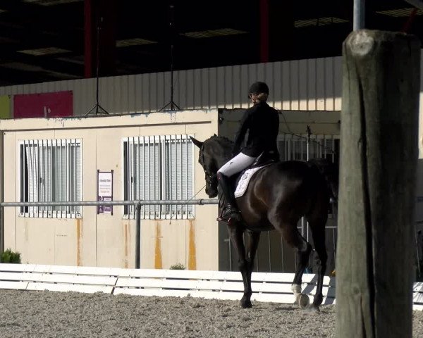 Reitturnier Dompierre 2022